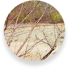 introduction_img